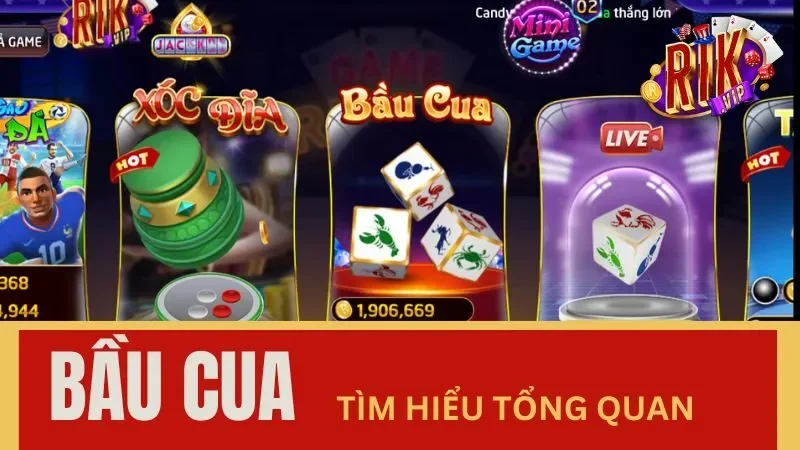 Tìm hiểu tổng quan game bầu cua Tìm hiểu tổng quan game bầu cua